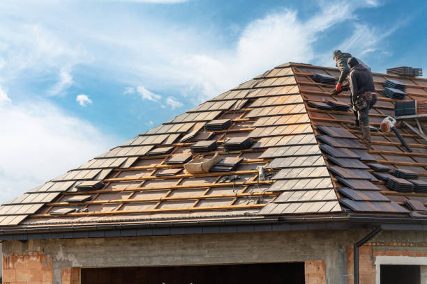 Trusted New Port Richey, FL Roofing services Experts